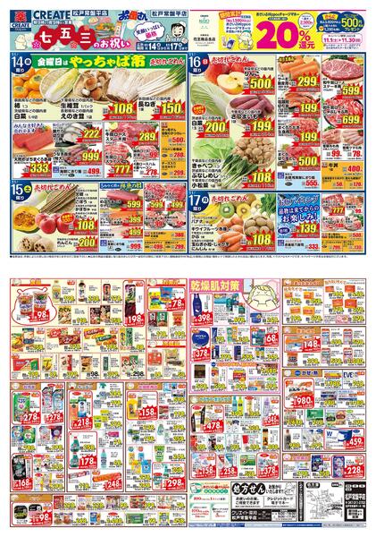 レギュラーチラシ-1