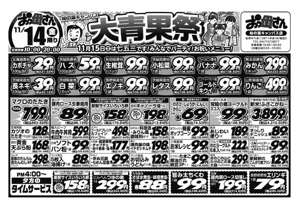 レギュラーチラシ-1