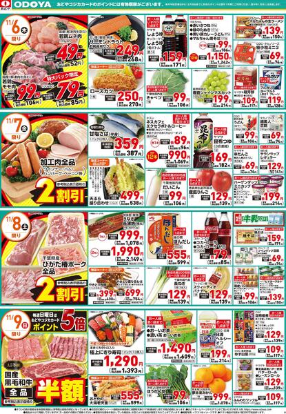 11月6日(木)～11月9日(日)-2