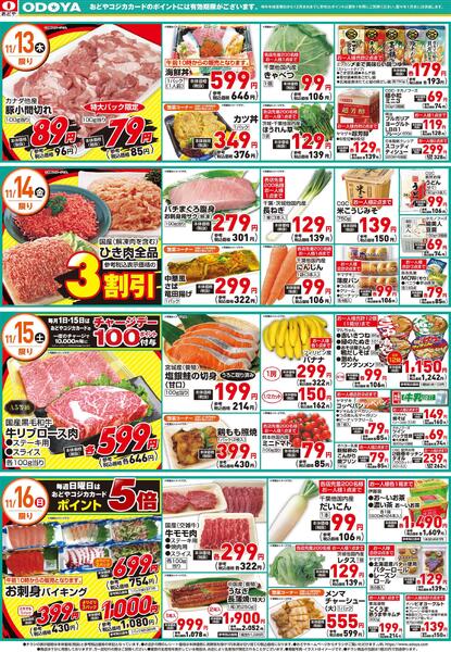 11月13日(木)～11月16日(日)-2