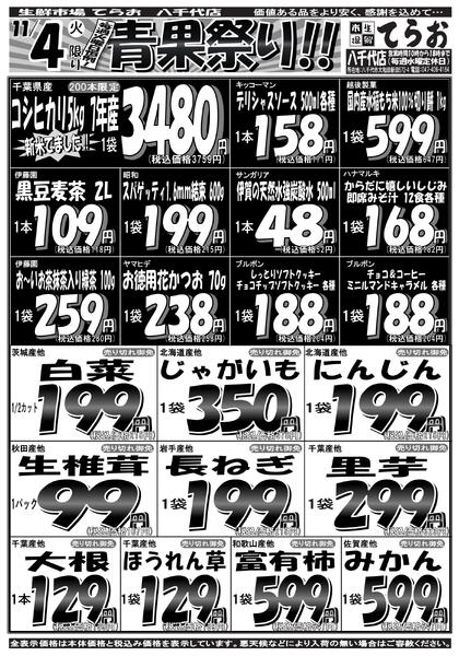 最新チラシnew-1