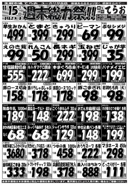 最新チラシnew-1