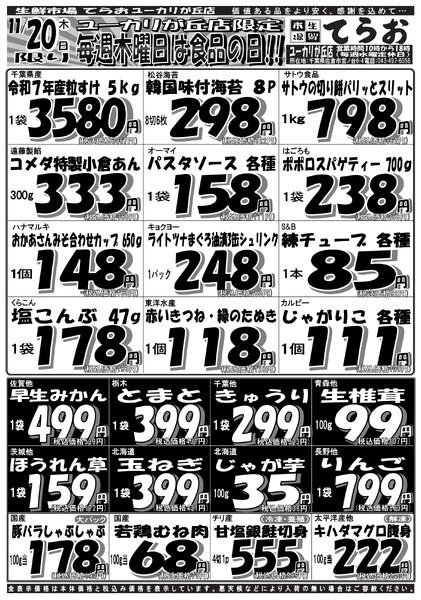 最新チラシnew-2