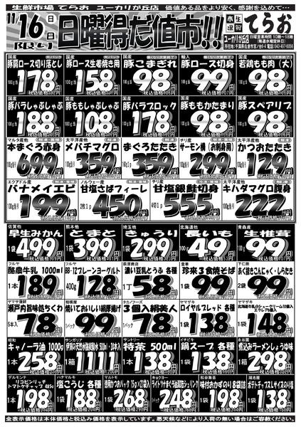 最新チラシnew-2