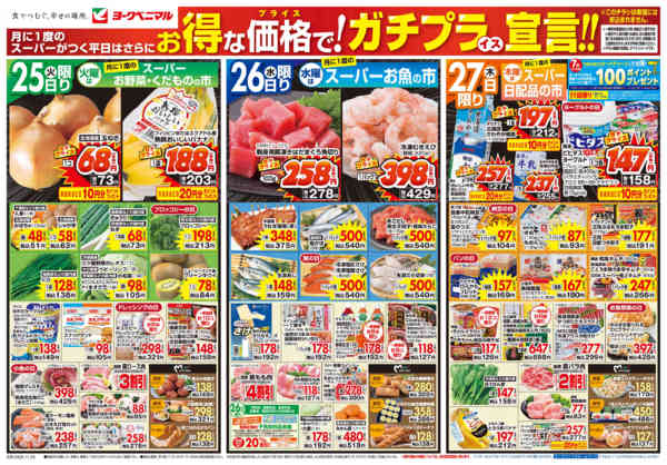 2025年11月25〜27日まで11/25号チラシnew-1