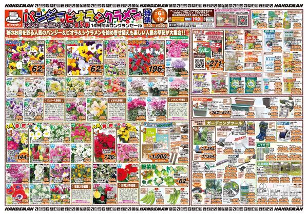 パンジー・ビオラ・シクラメン特集　秋のガーデニングフェア第5弾new-1