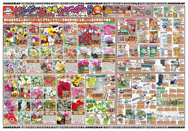 パンジー・ビオラ・シクラメン特集　秋のガーデニングフェア第5弾-1