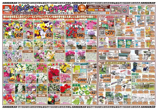 パンジー・ビオラ・シクラメン特集　秋のガーデニングフェア第5弾-1