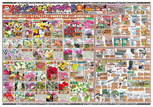 パンジー・ビオラ・シクラメン特集　秋のガーデニングフェア第5弾-1