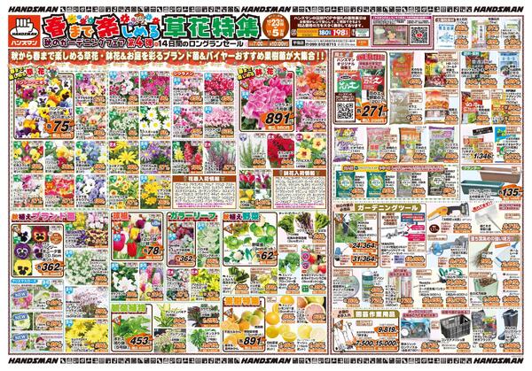 春まで楽しめる草花特集　秋のｶﾞｰﾃﾞﾆﾝｸﾞﾌｪｱ第4弾-1