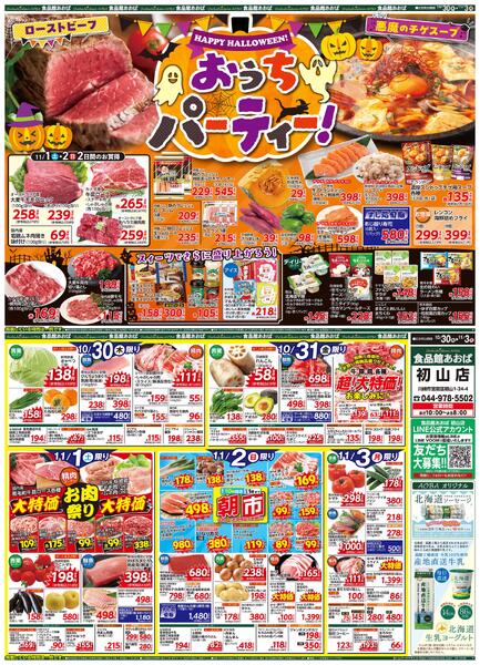 レギュラーチラシ-1