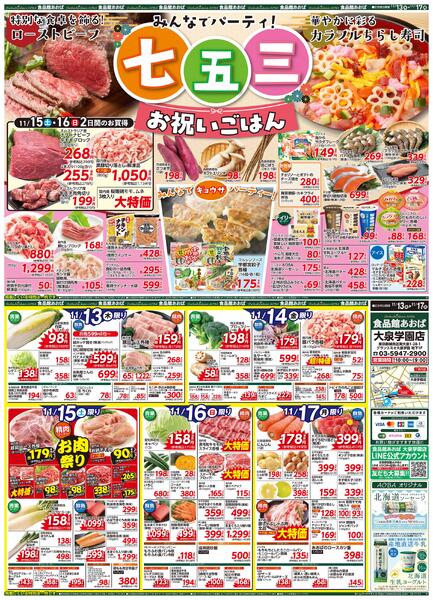 レギュラーチラシ-1