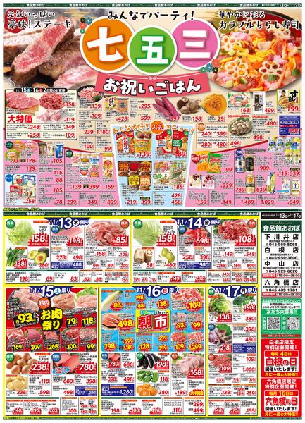 レギュラーチラシ-1