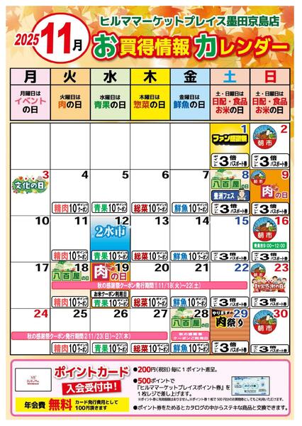 最新チラシnew-2