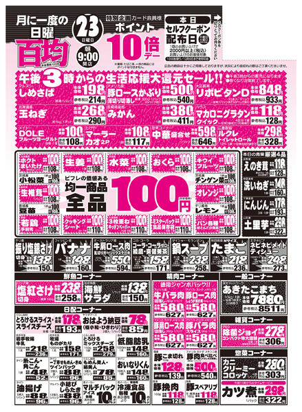 最新チラシnew-2