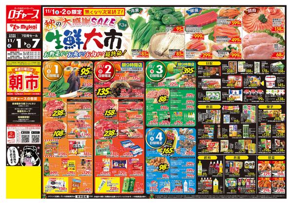 折り込みチラシnew-1