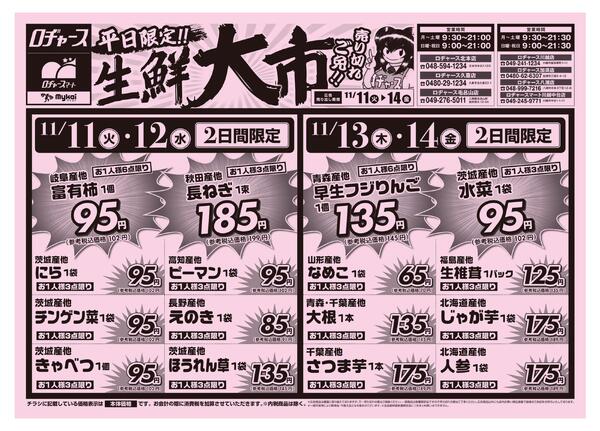 折り込みチラシ-1