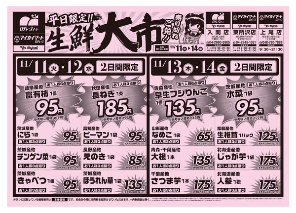 折り込みチラシ-1