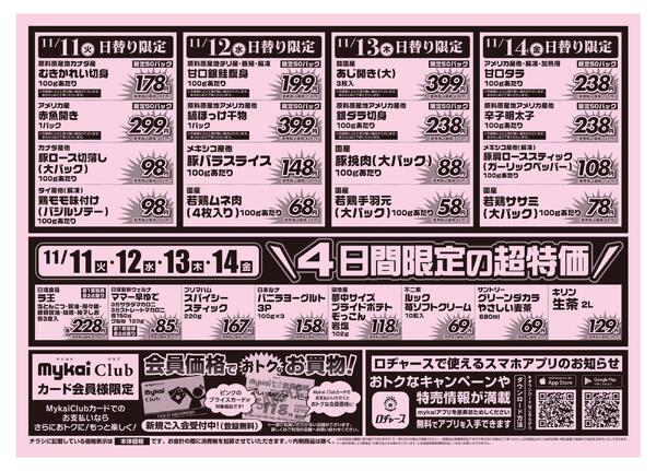 折り込みチラシ-2