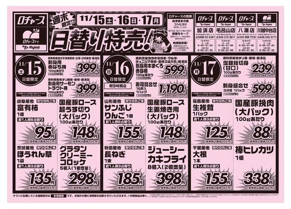 折り込みチラシnew-1