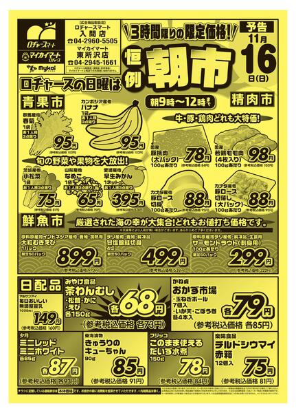 折り込みチラシnew-1