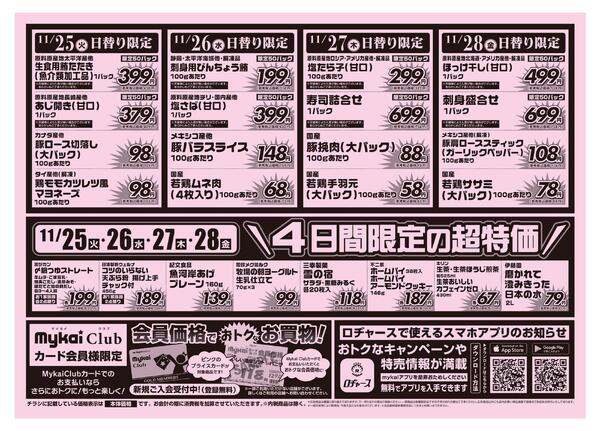 折り込みチラシ-2