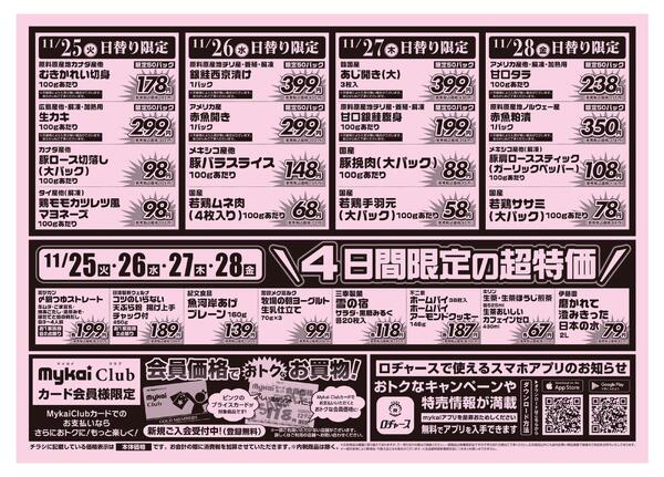 折り込みチラシ-2