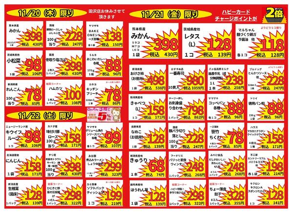 最新チラシnew-2