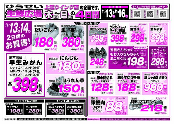 最新チラシnew-5