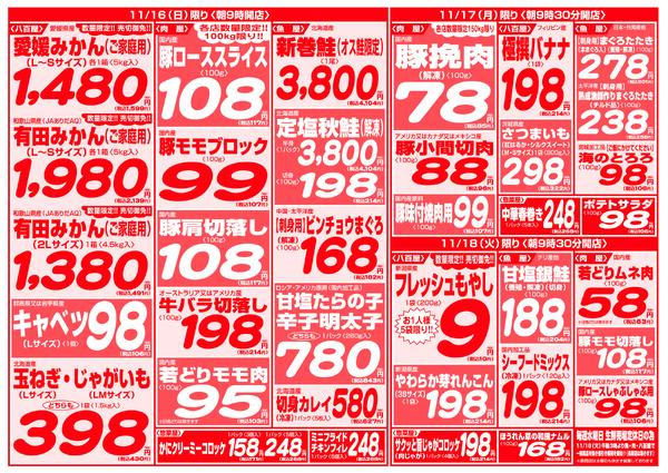 最新チラシnew-4