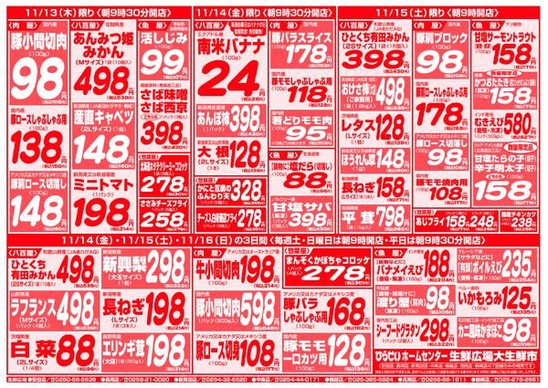 最新チラシnew-3