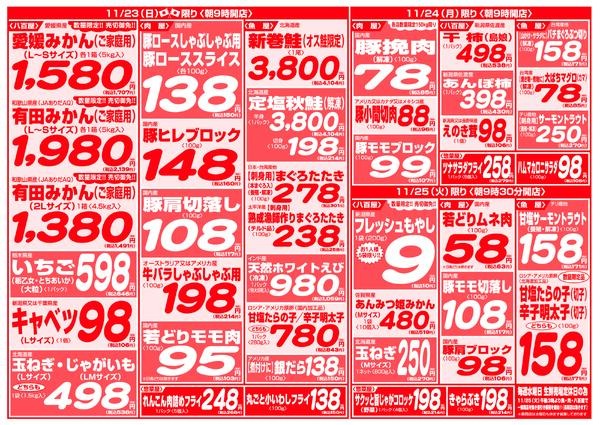 最新チラシnew-4