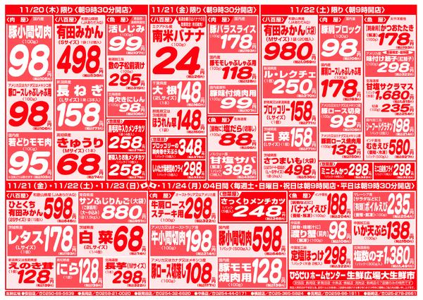 最新チラシnew-3