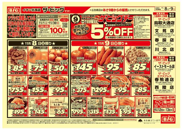 ザ・ビッグデー/買えば買うほど安さがわかります-1