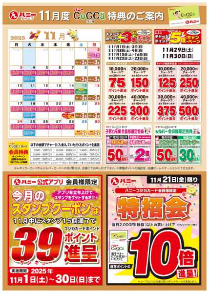2025年11月1〜30日まで今月のコジカ特典-1