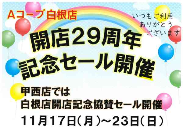 白根店29周年開店記念セール11月15日更新-1