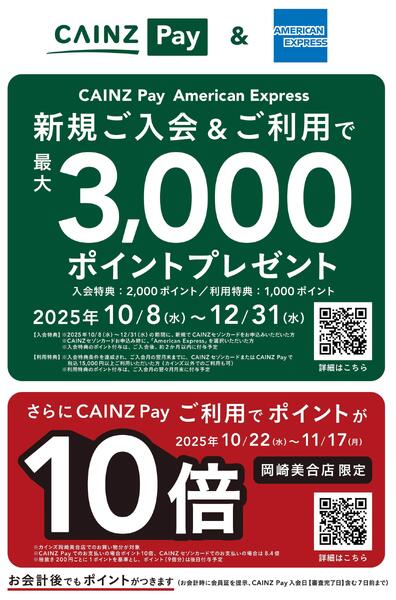 CAINZ Pay ご利用でポイントが10倍-1