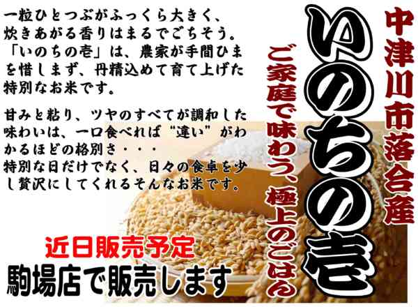 2025年11月11〜30日まで駒場店からのご案内-1