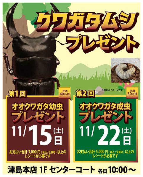 2025年11月10〜22日まで-1