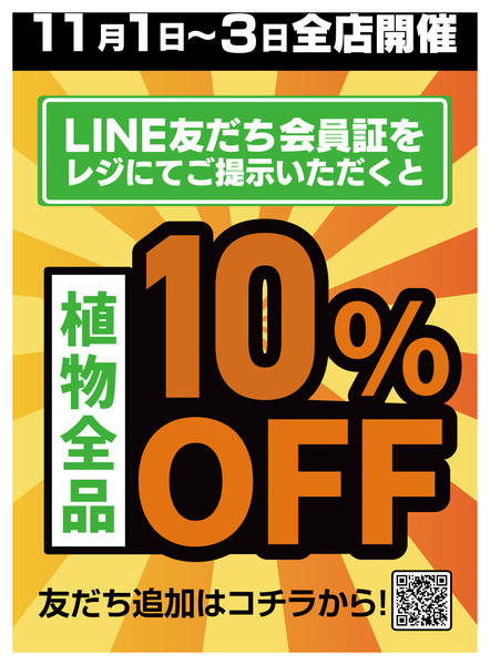 2025年11月1〜3日までLINE友だち限定 植物全品10％OFFnew-1