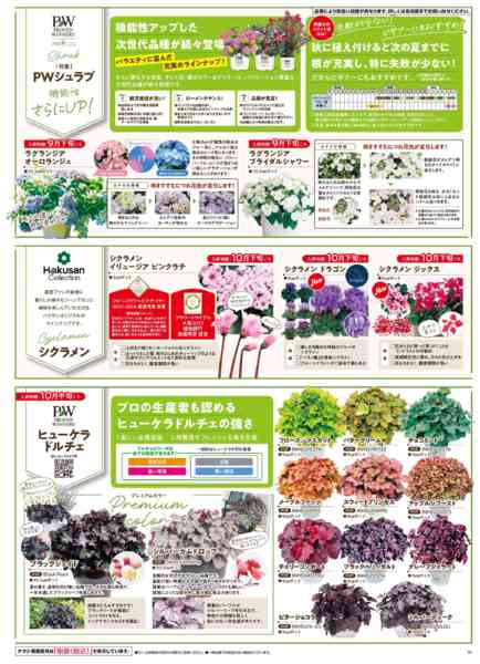 2025年9月25日〜12月31日までガーデニングフェア-3