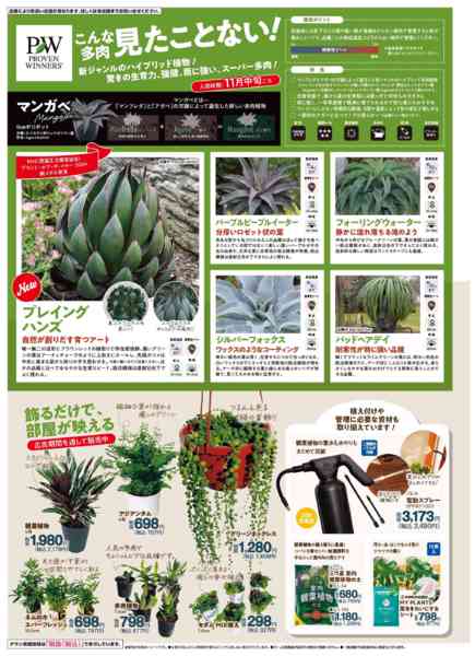 2025年9月25日〜12月31日までガーデニングフェア-8