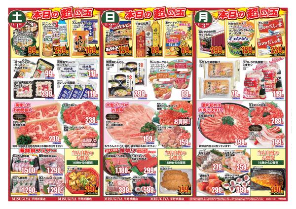 レギュラーチラシ-2