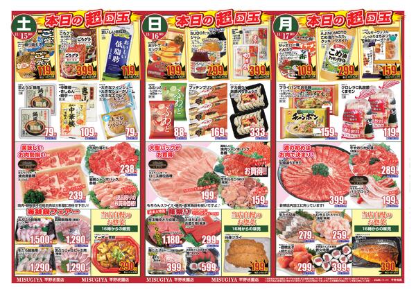 レギュラーチラシ-2