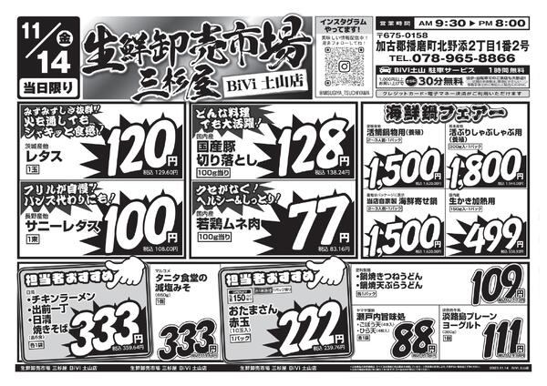 レギュラーチラシ-1