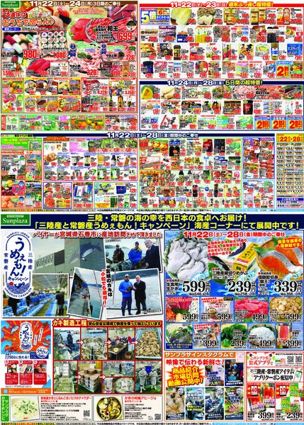 最新チラシnew-1