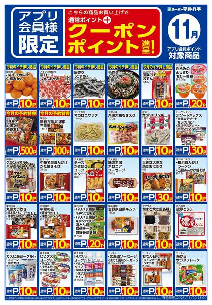 2025年10月27日〜11月30日まで11月アプリクーポン対象商品-1