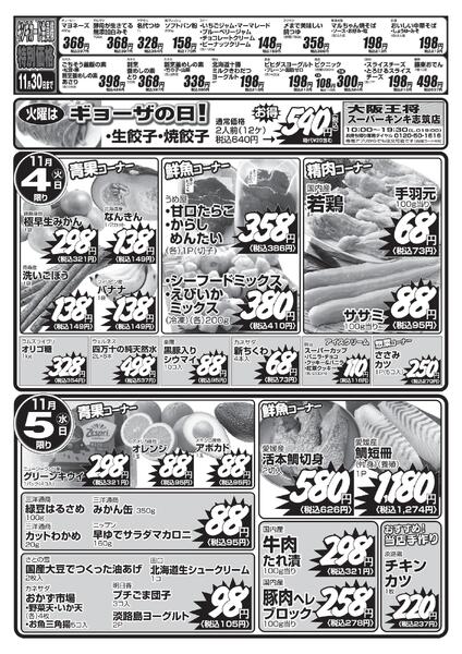 最新のチラシ-2