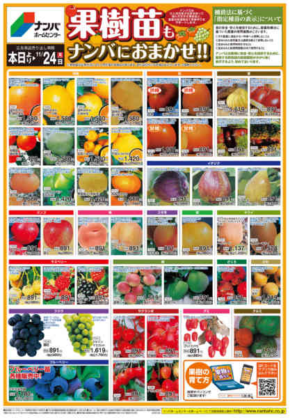 2025年10月29日〜11月24日まで果樹苗もナンバにおまかせ!!-1