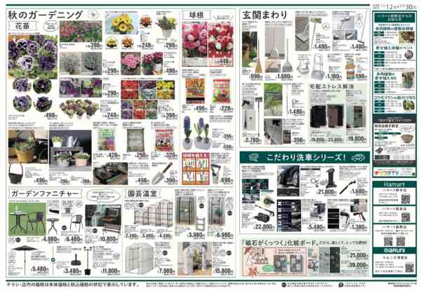 2025年11月12〜30日まで毎日の選択を"ちょっといい"ものに-2